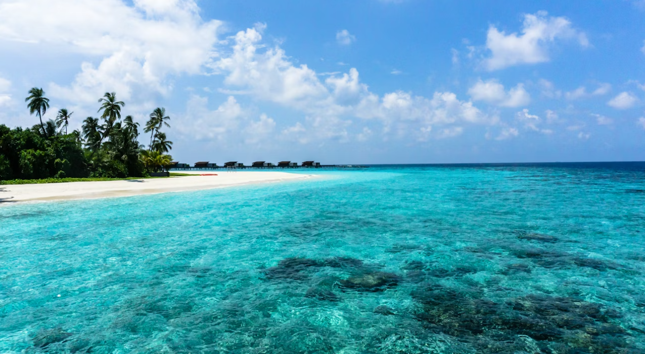 Day 2 - Cruise to Vaavu Ambaraa/Bodu Mohoraa