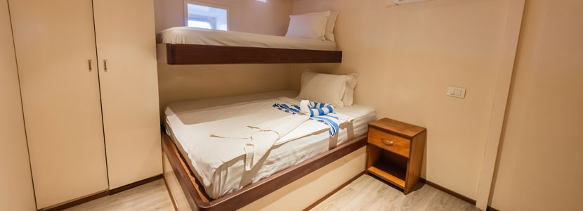 En-suite cabin with twin beds
