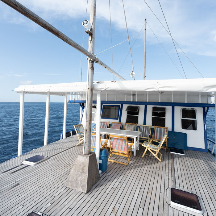 Day 8 - End of the cruise