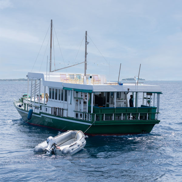 DAY 1 Join the cruise and visit to North Male’ Manta point and visit Local island