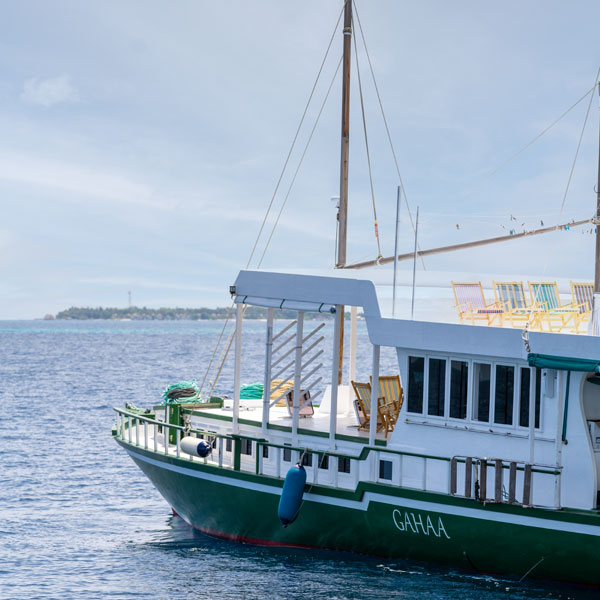 Day 1 - Join the cruise and visit North Male’ Atoll
